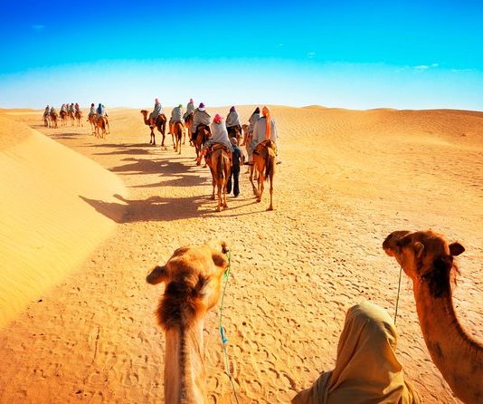 Camel Desert Safari The Best Travel Activity in Dubai