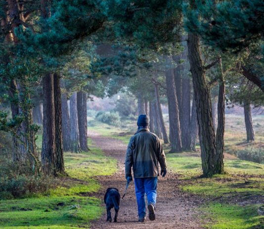 Two hours a week in nature, the minimum dose for your well-being