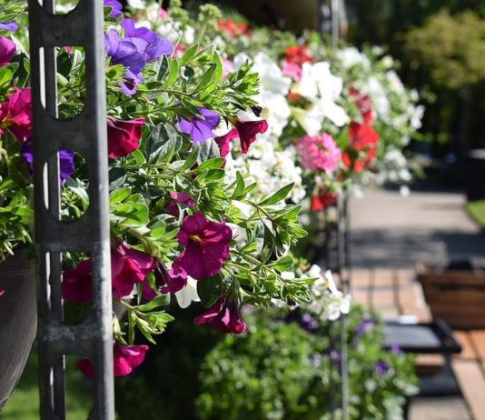 Rockland Flower Delivery- The Best Florist in Maine