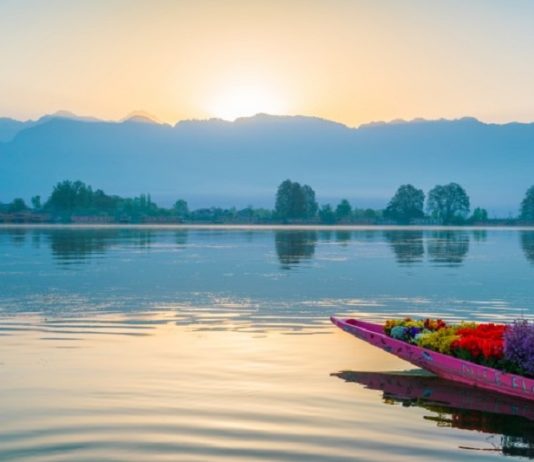 Top Reasons to Visit India for Your Next Vacation Reasons to visit India