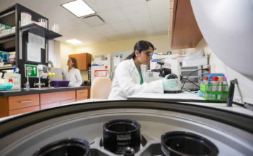 Everything About the Large Molecule Bioanalysis