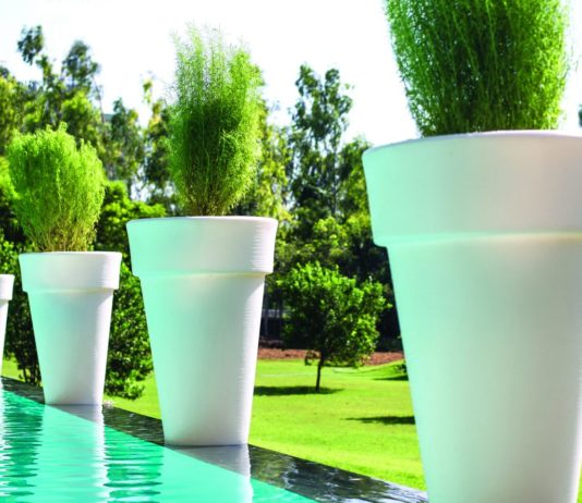 Why Should You Have Plants in Your Space? Can Planters Help? buy plant pots