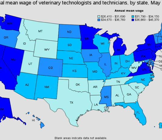 Who is a Vet Tech? what is his average salary?