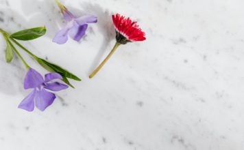 Simple tips to send flowers to bae Simple tips to send flowers to bae