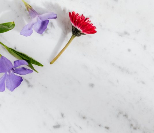 Simple tips to send flowers to bae Simple tips to send flowers to bae