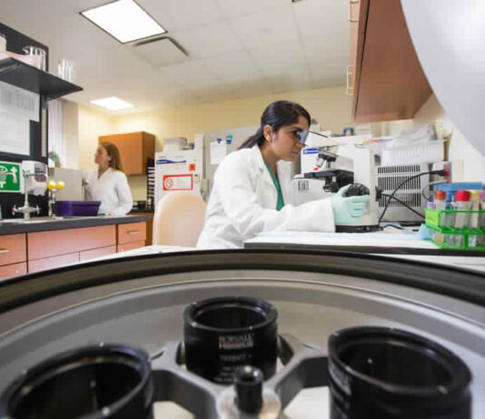 Overview Of Factors Affecting Oral Drug Bioavailability bioavailability of drugs