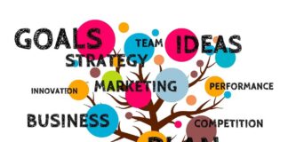 Why Only a Few Start-Ups Succeed?