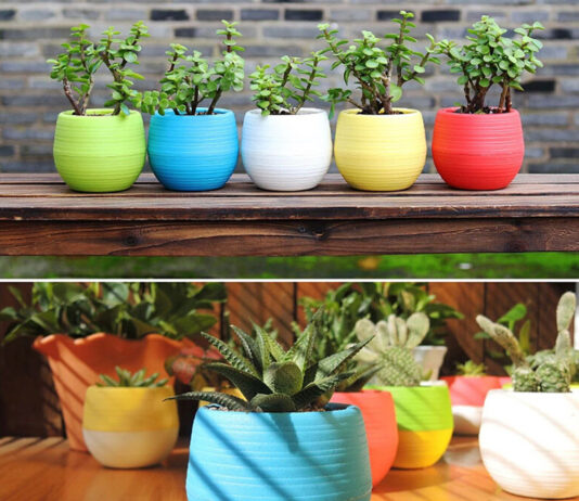 Benefits of having organic ghee flower pots for sale