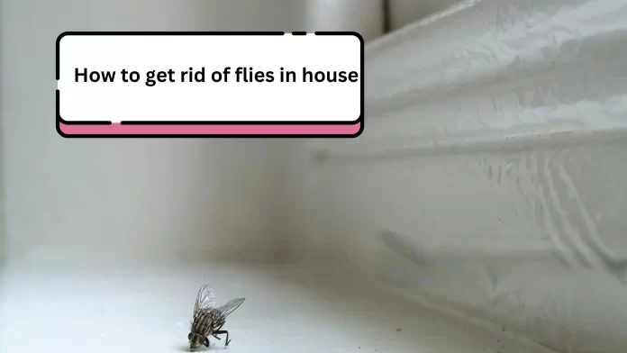 how to get rid of flies in house