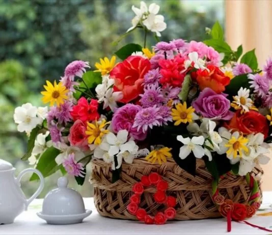 6 Awesome Flowers To Purchase For Christmas Day 6 Awesome Flowers To Purchase For Christmas Day