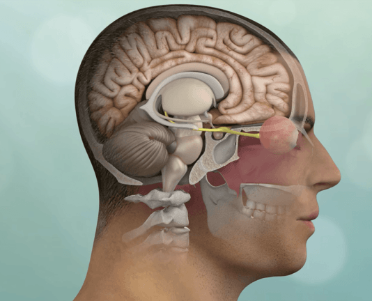 A comprehensive analysis and snapshot of the psychiatric behavioural disorders monitoring market psychiatric behavioral disorders monitoring market