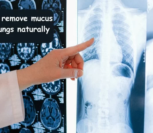 How To Remove Mucus from Lungs Naturally how to remove mucus from lungs naturally