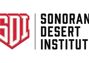Is Sonoran Desert Institute Worth It for Flexible Technical Coursework?